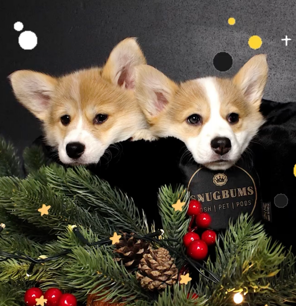 Snugbums Founder Rosie's Christmas Gift Guide