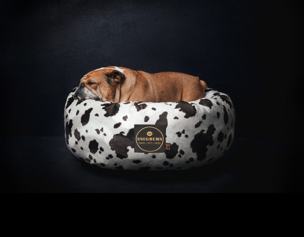 The posh deals dog bed company