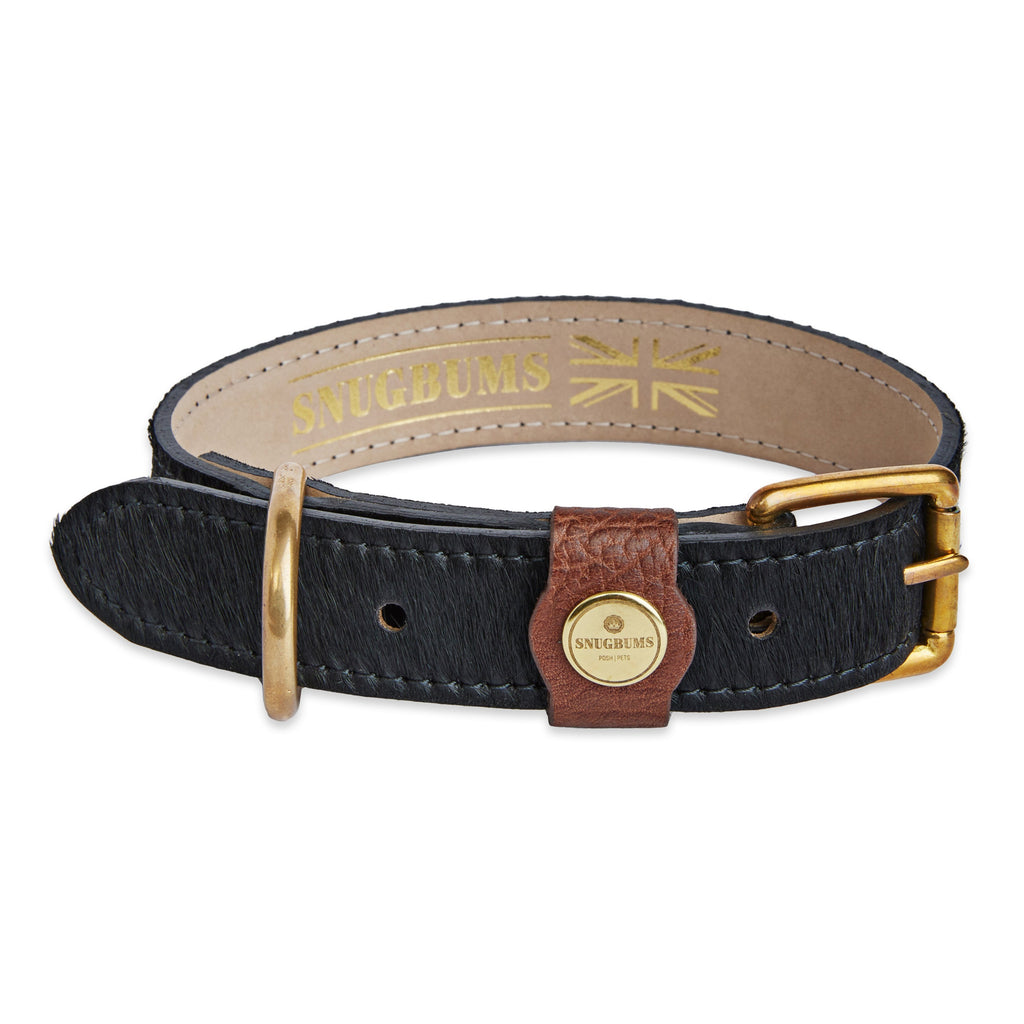 Luxury black cow hide leather dog collar