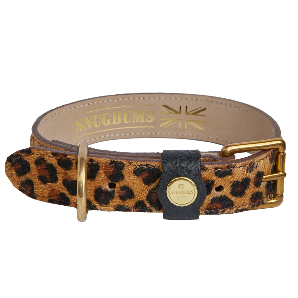 luxury black and leopard print dog collar with brass hardware