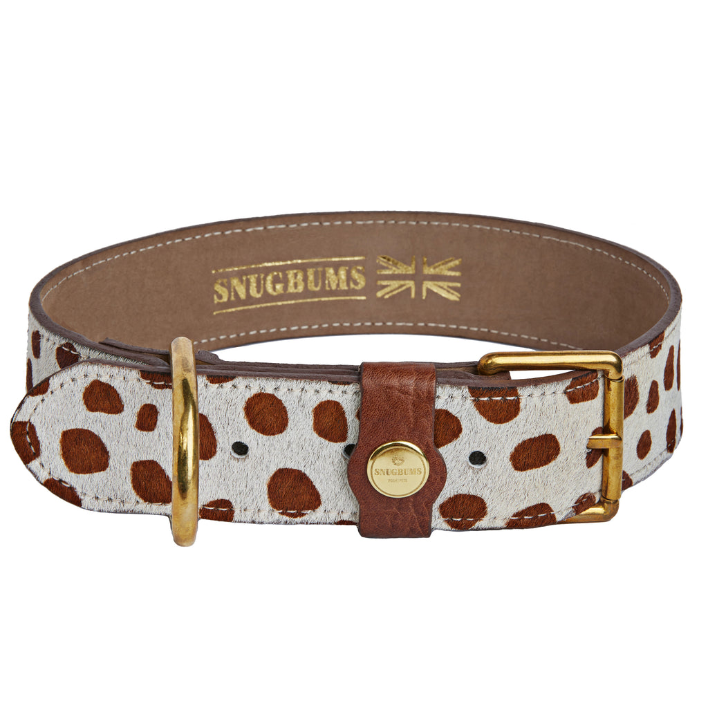 Luxury Brown and white spot leather dog collar