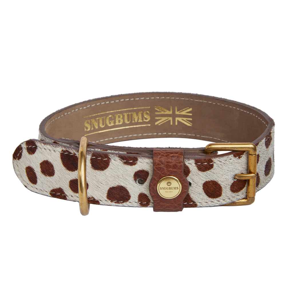 luxury brown and white spot leather cow hair on hide dog collar 