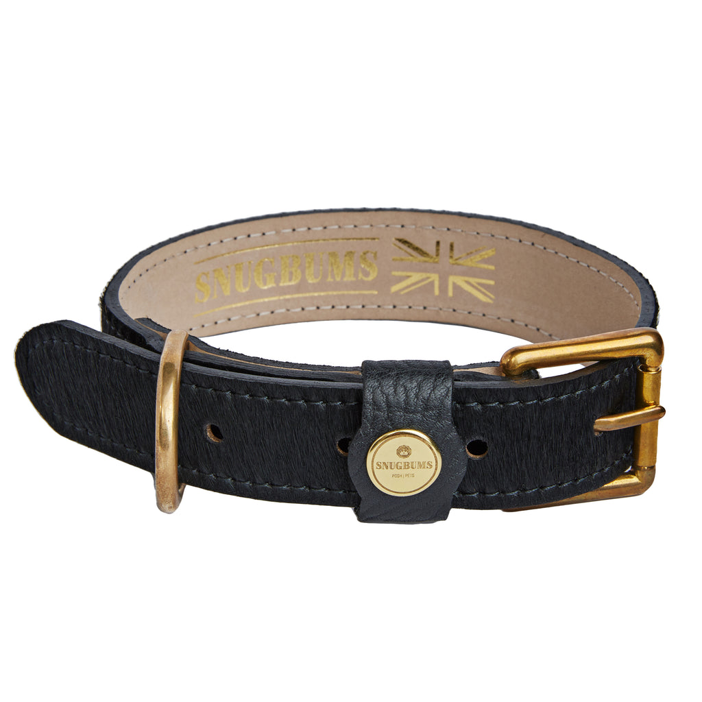 premium black hair on hide dog collar with brass fittings