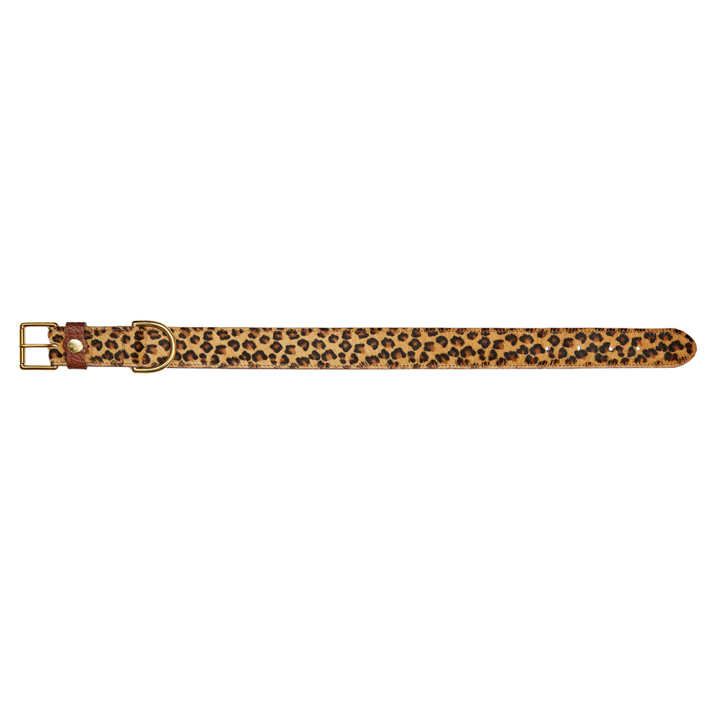 Luxury leopard print leather dog collar