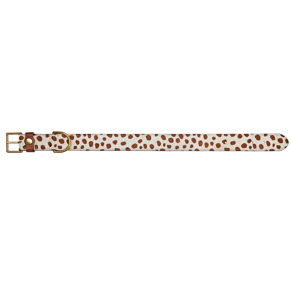 cow print leather dog collar uk