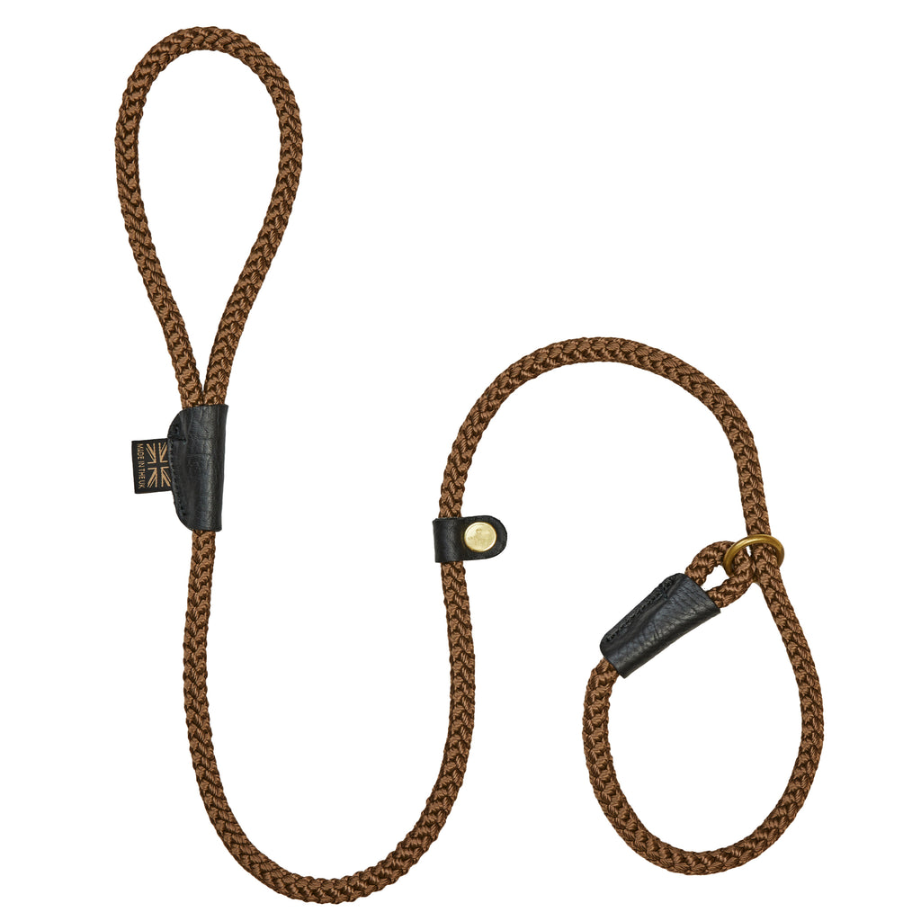 Classic country dog slip lead with leather and brass fittings