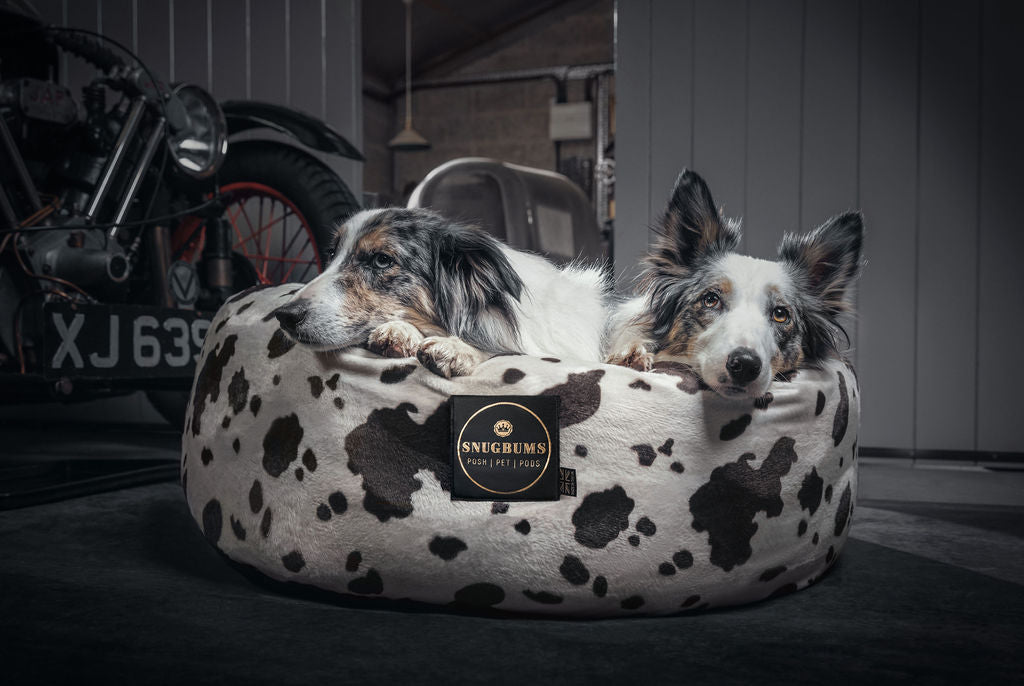 Luxury UK British made dog beds
