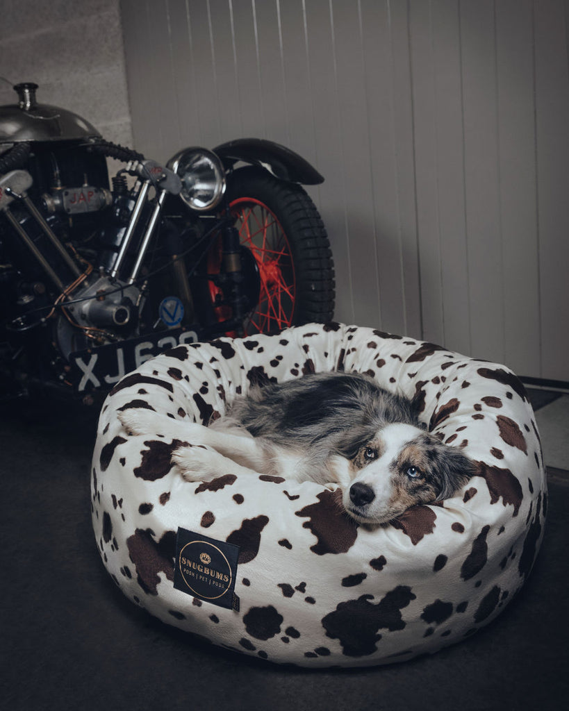 Luxury British pet beds