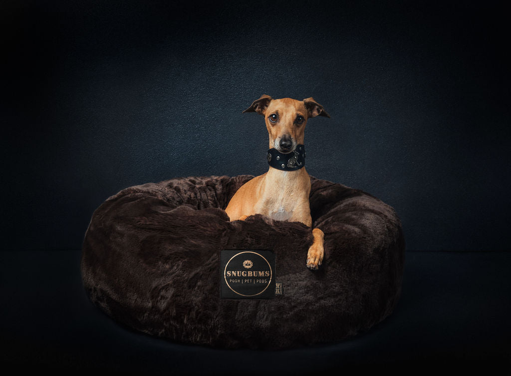 premium luxury pet bed
