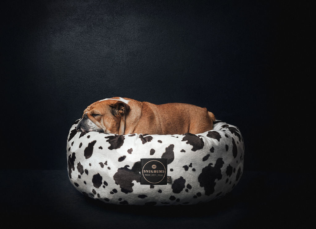 premium washable British made pet beds