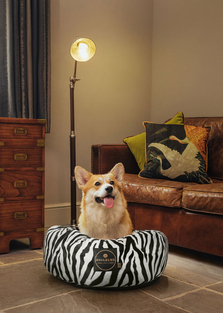 Corgi in luxury SNUGBUMS pet bed