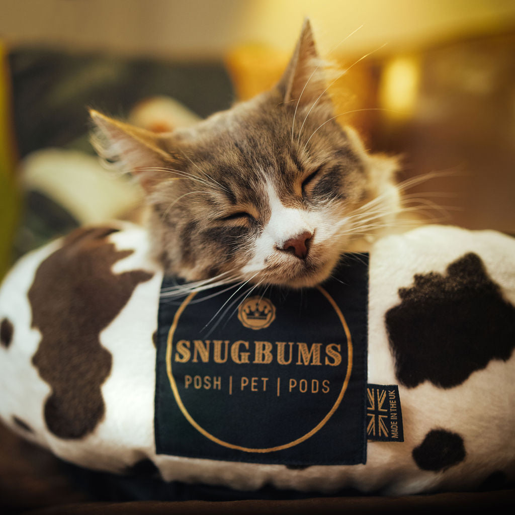 luxury animal print cat bed