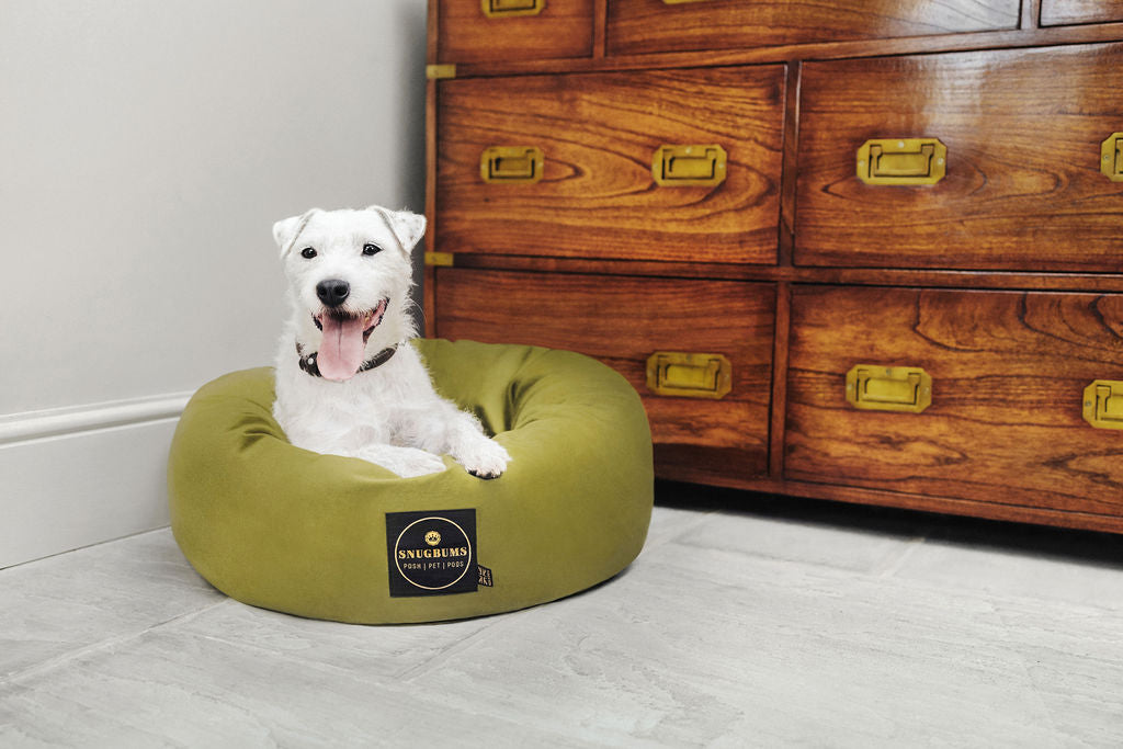 Green velvet luxury pet bed